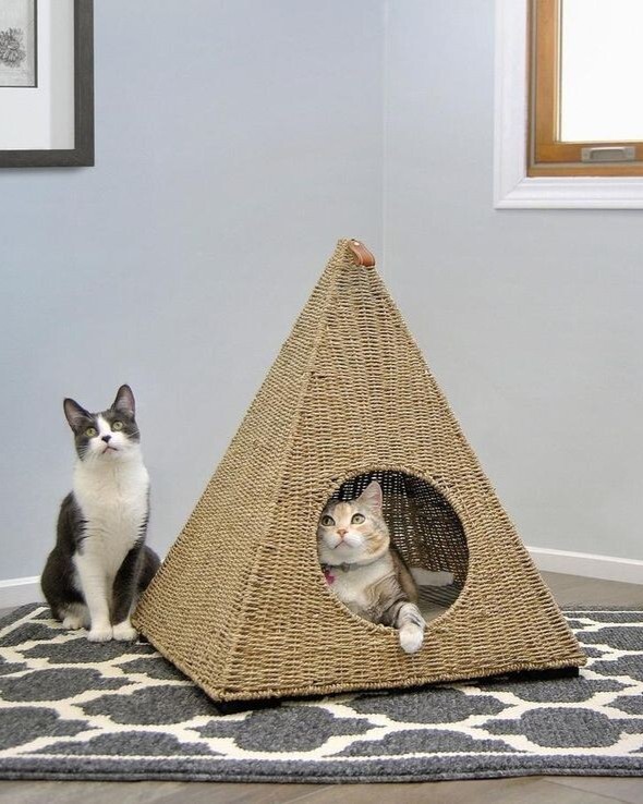 дом для кошки