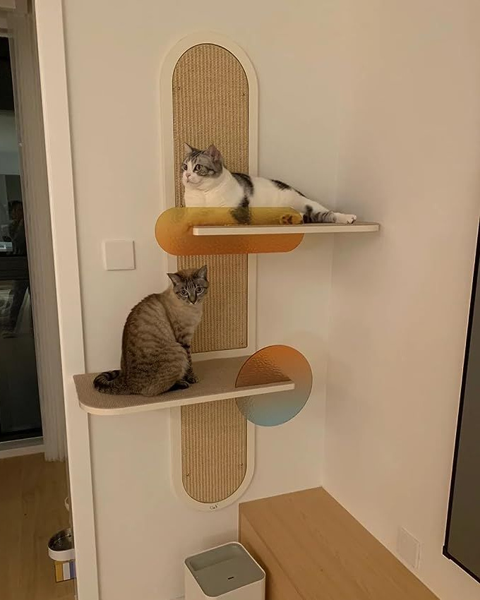 место для кошки