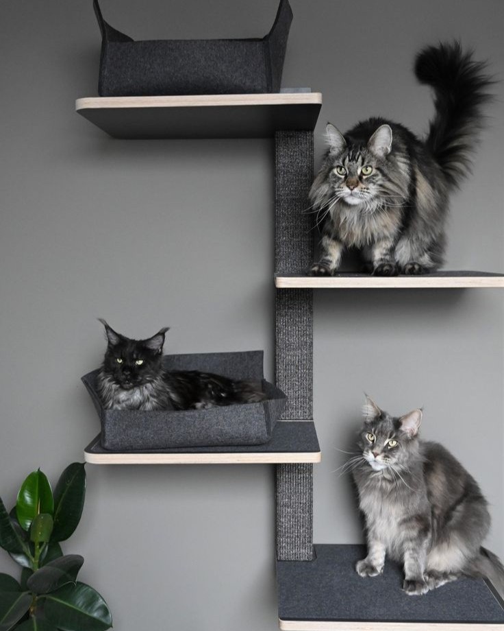 мебель для котов
