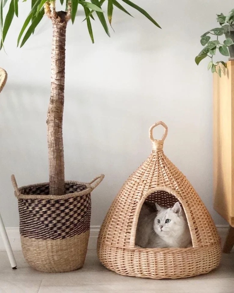 дом для кота